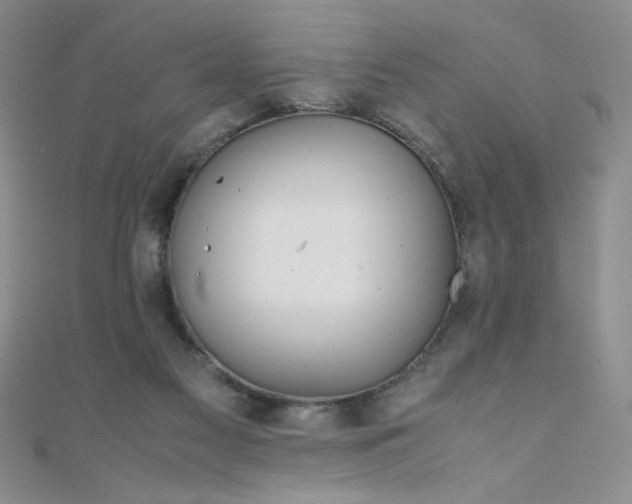 X0000108480117200904171619