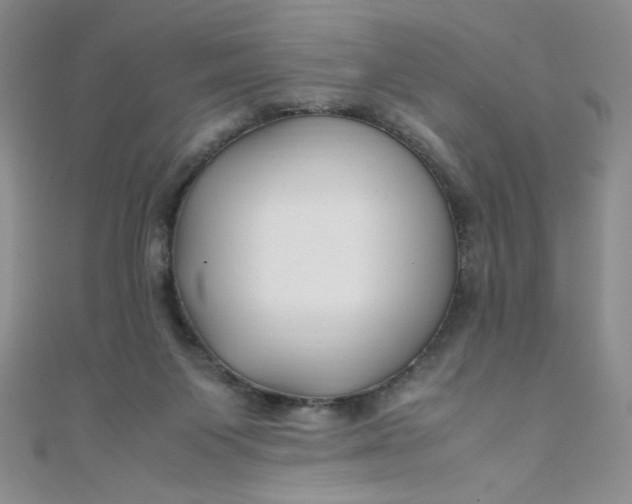X0000108480119200904171619