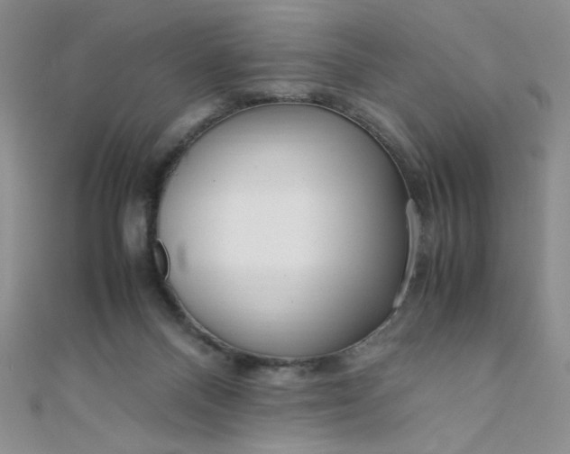 X0000108480120200904171619