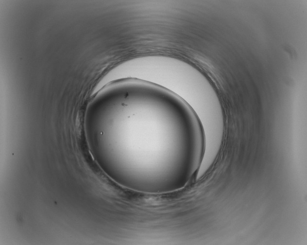 X0000108480121200904171619