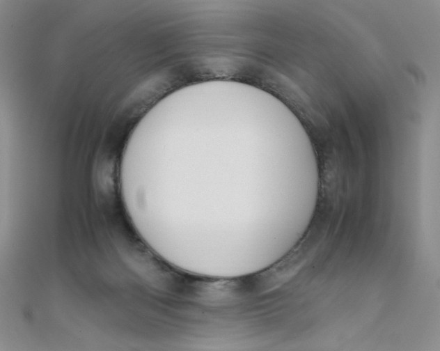 X0000108480122200904171619