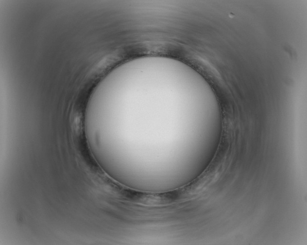 X0000108480123200904171619