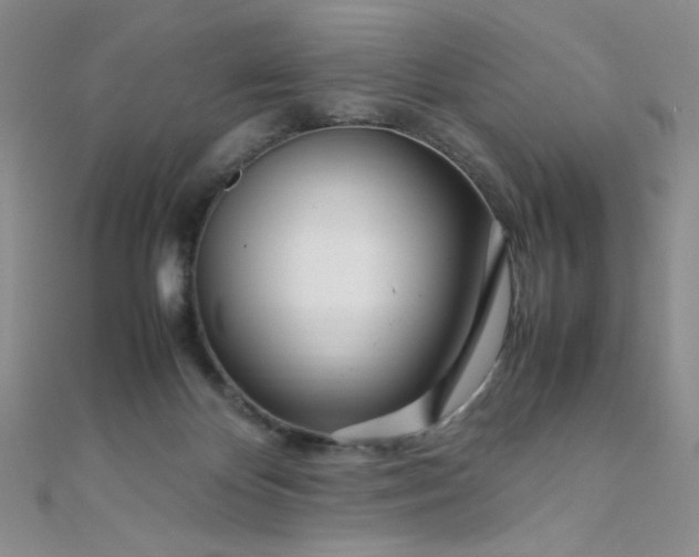 X0000108480124200904171619
