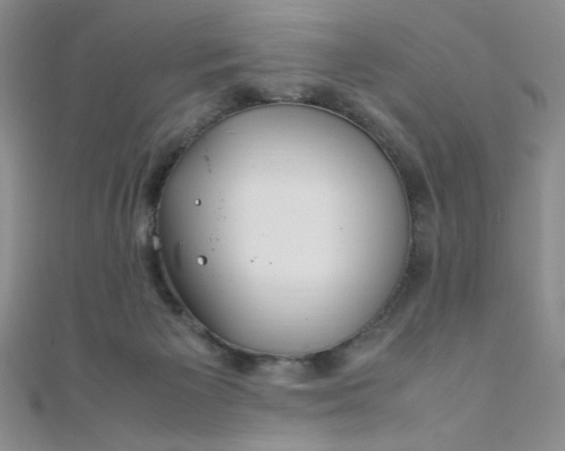 X0000108480125200904171619
