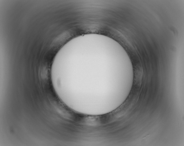 X0000108480126200904171619