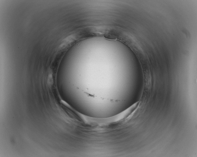 X0000108480128200904171619