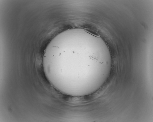 X0000108480129200904171619