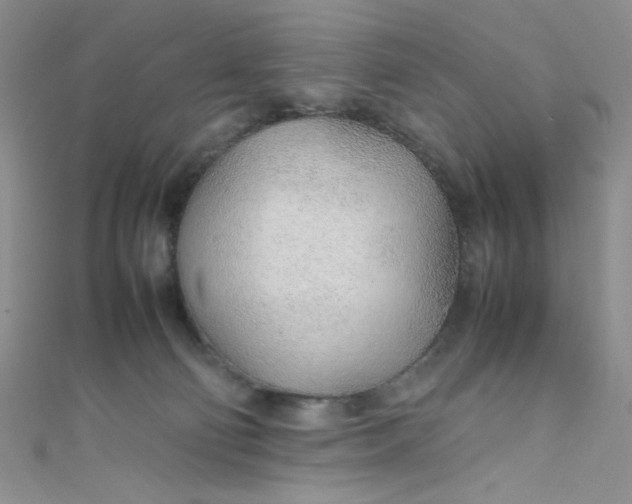 X0000108480130200904171619