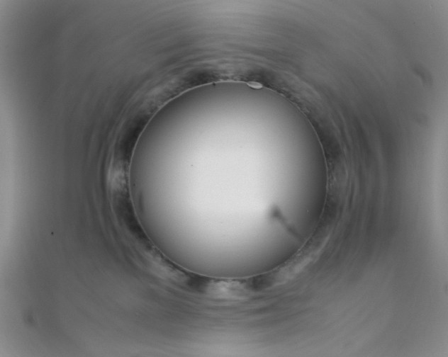 X0000108480137200904171619