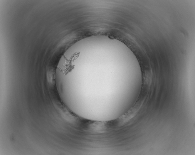 X0000108480138200904171619