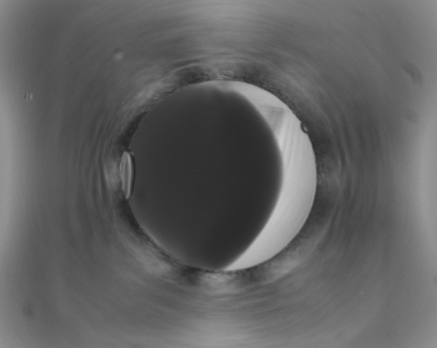 X0000108480139200904171619