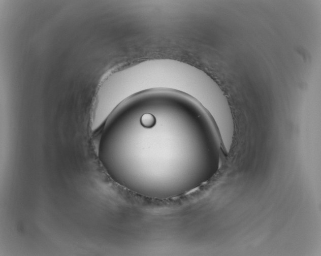 X0000108480144200904171619