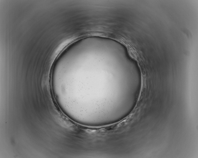 X0000108480147200904171618