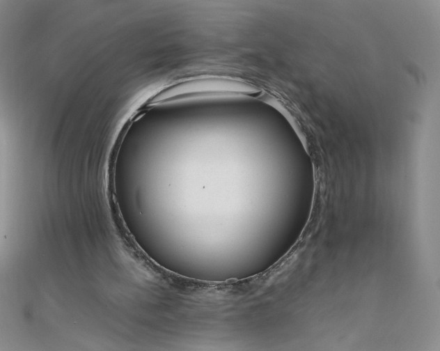 X0000108480148200904171618