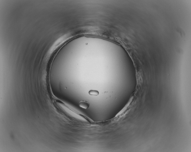 X0000108480150200904171618