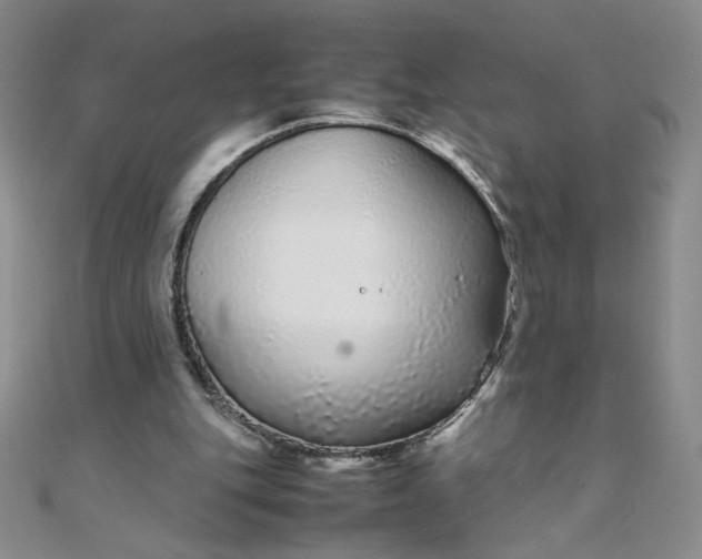X0000108480151200904171618