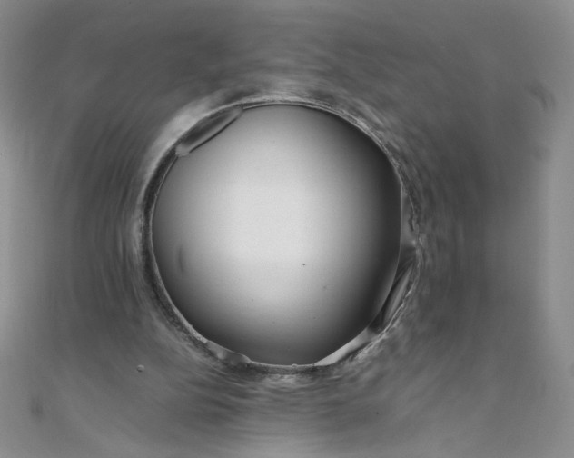 X0000108480152200904171618