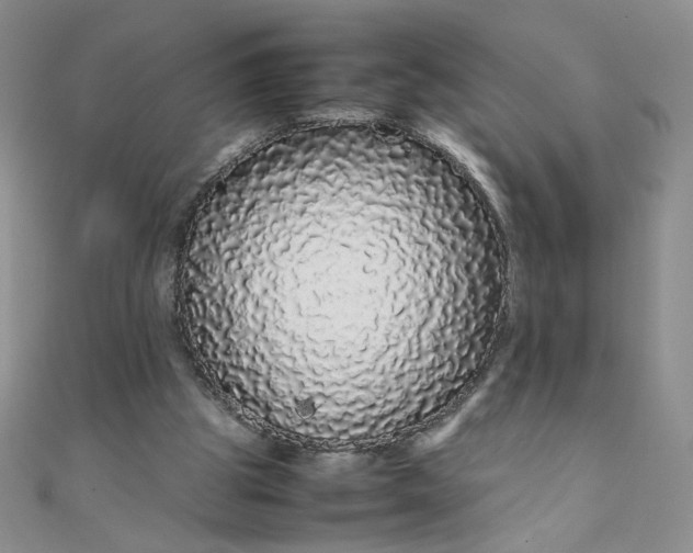 X0000108480153200904171618