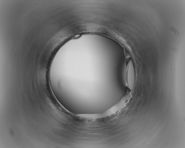 X0000108480154200904171618
