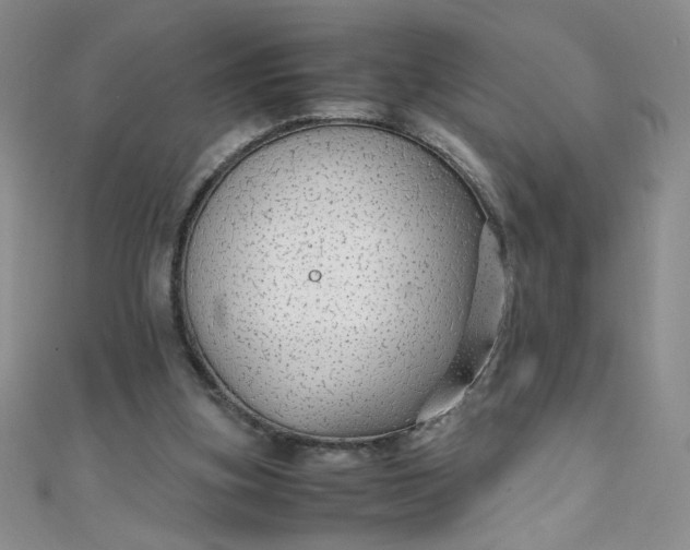 X0000108480155200904171618