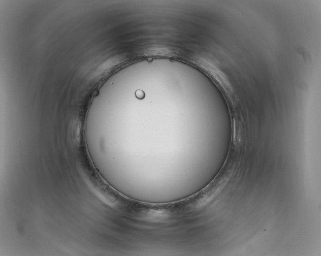 X0000108480157200904171618