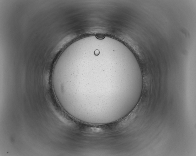 X0000108480159200904171618
