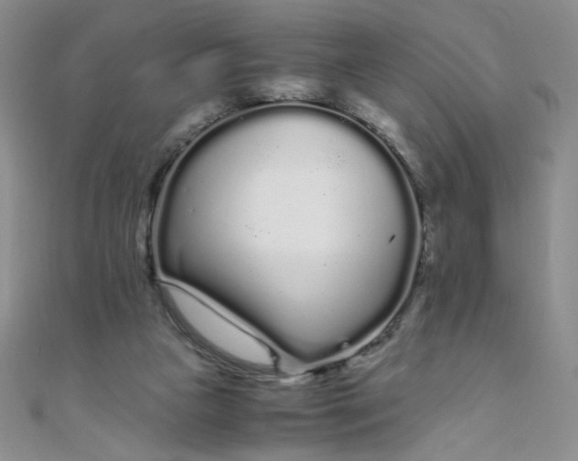 X0000108480161200904171618