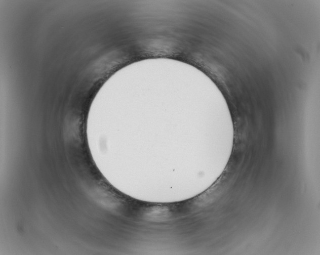 X0000108480162200904171618