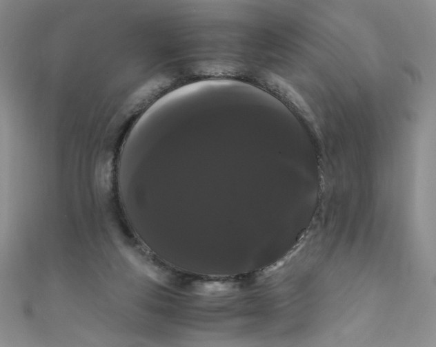 X0000108480163200904171619