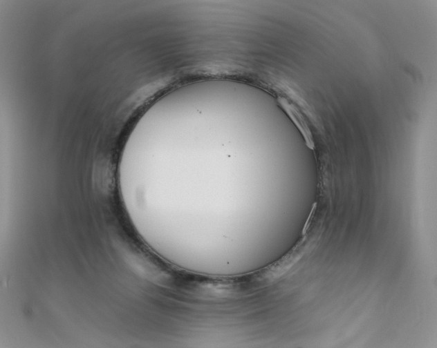 X0000108480164200904171619