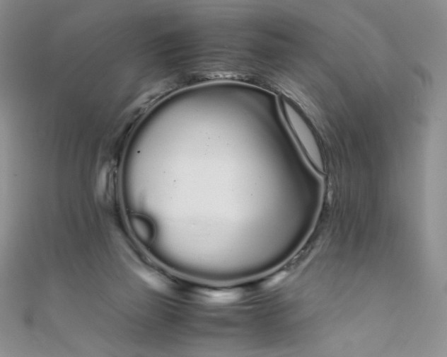 X0000108480165200904171619