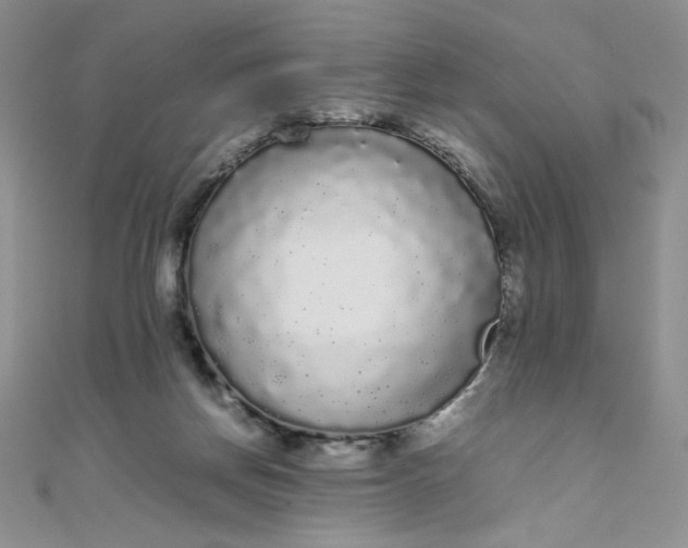 X0000108480166200904171619