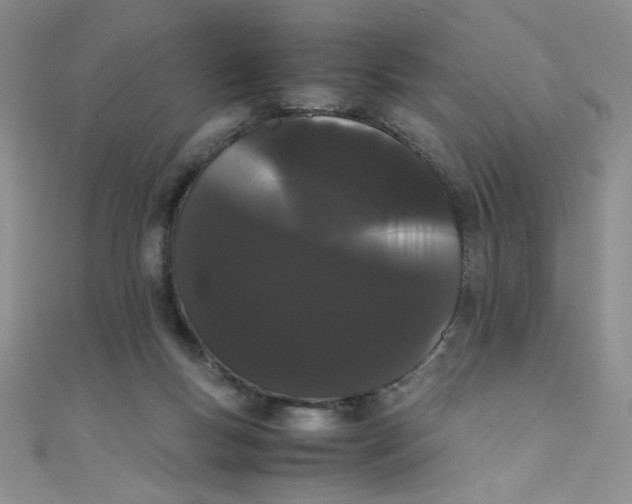 X0000108480167200904171619