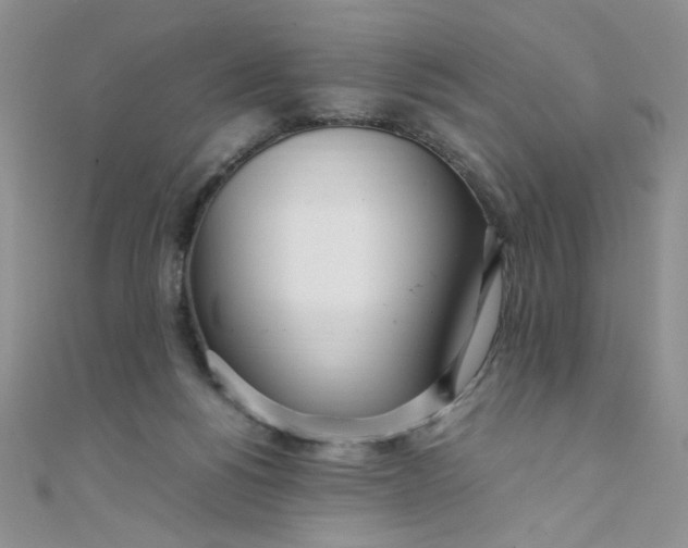 X0000108480168200904171619