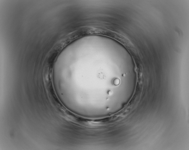 X0000108480169200904171619