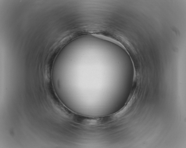 X0000108480170200904171619