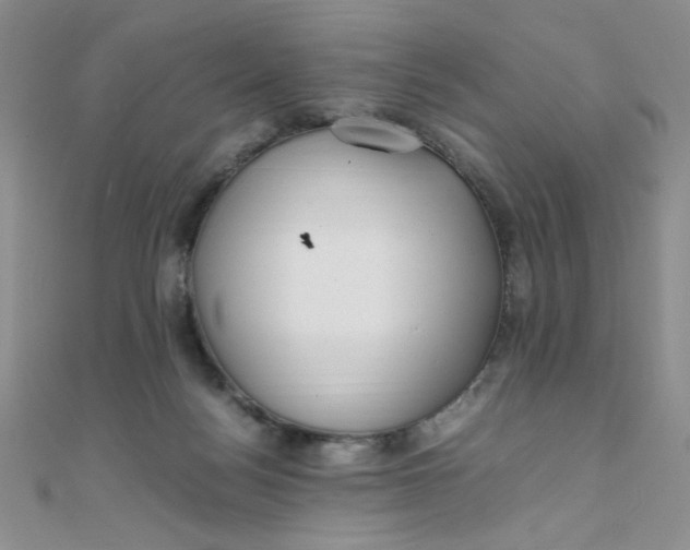 X0000108480172200904171619