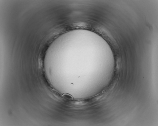 X0000108480173200904171619