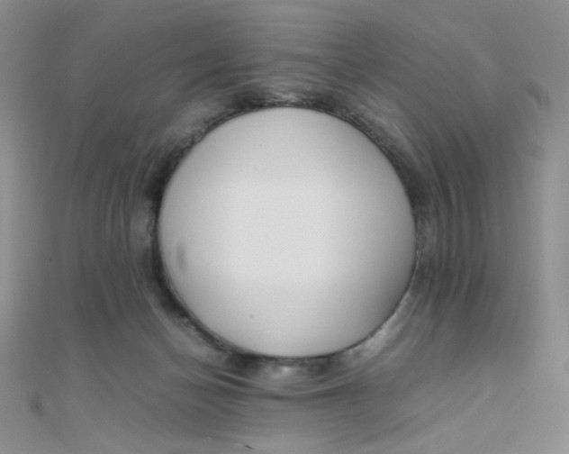 X0000108480174200904171619