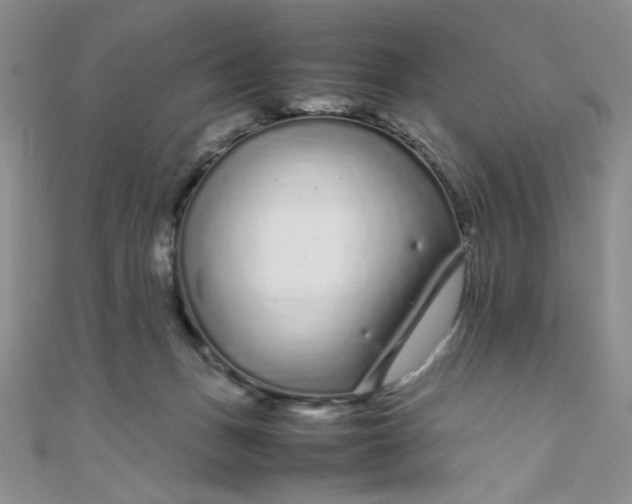 X0000108480175200904171619