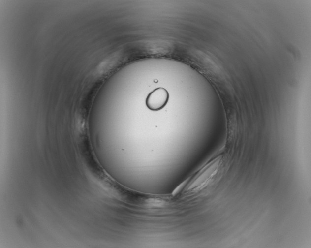 X0000108480176200904171619