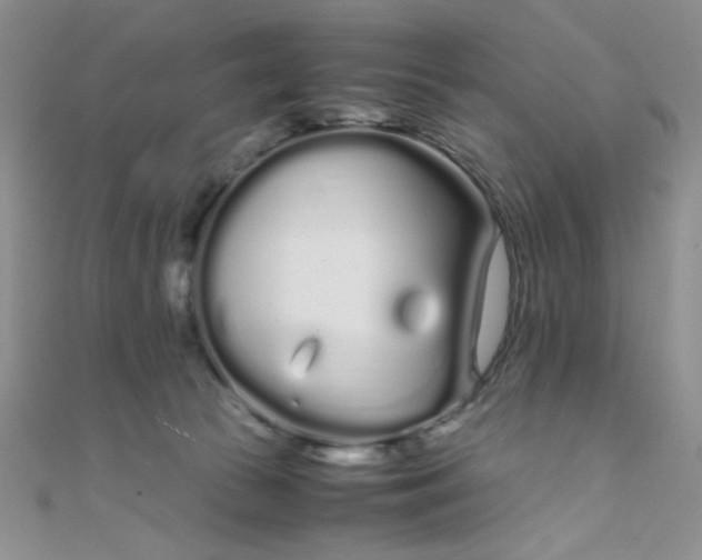 X0000108480177200904171619