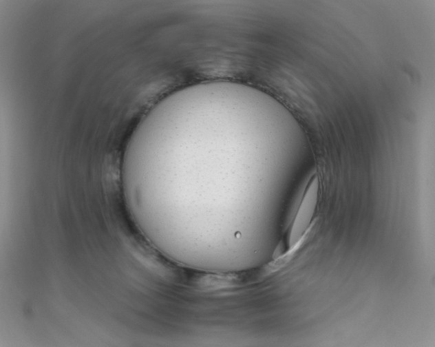 X0000108480179200904171619