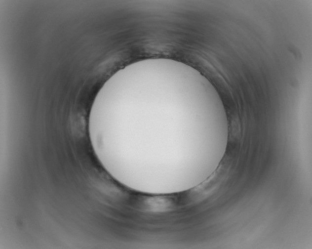 X0000108480183200904171619
