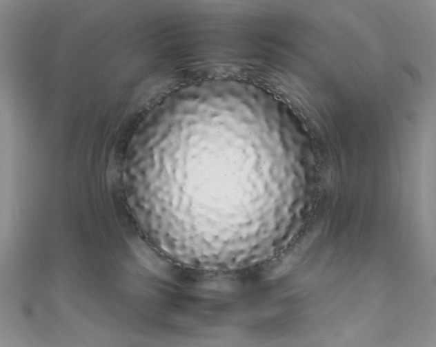 X0000108480185200904171619