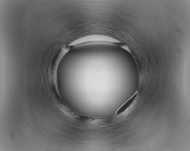 X0000108480186200904171619
