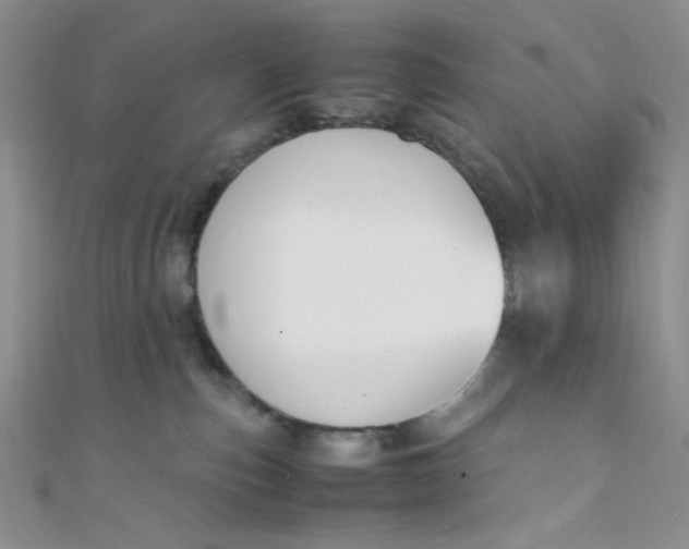 X0000108480187200904171619