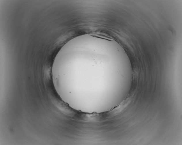 X0000108480188200904171619