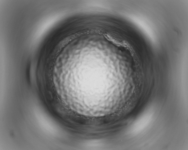 X0000108480189200904171619