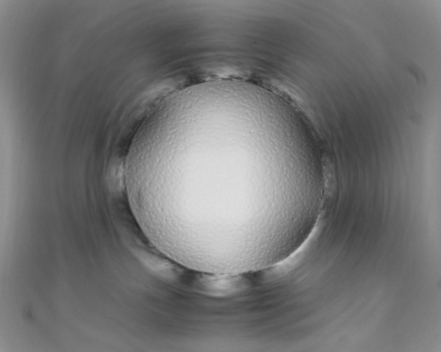 X0000108480191200904171619
